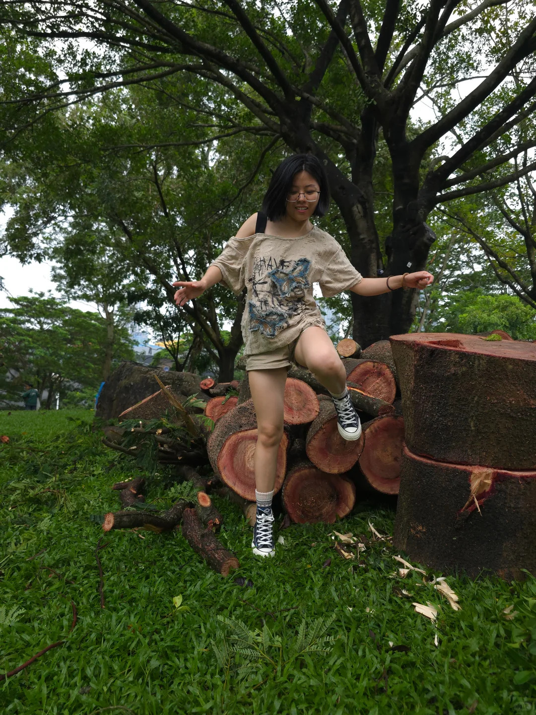 Wipha 倒树 Taotao 上树