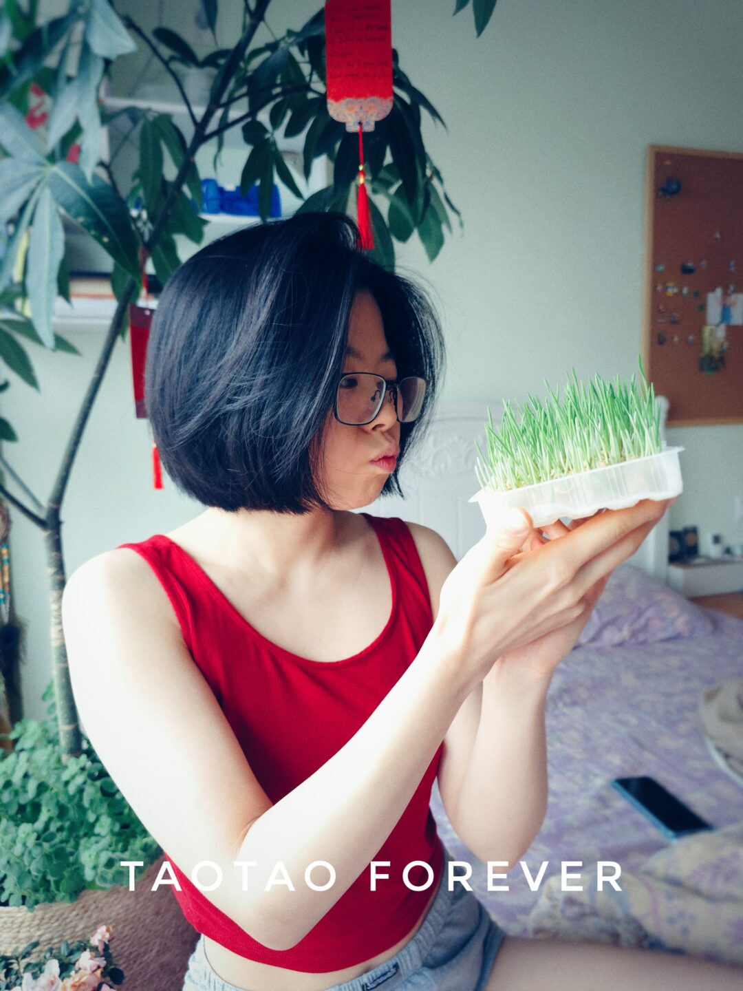 刚睡完懒觉的Taotao